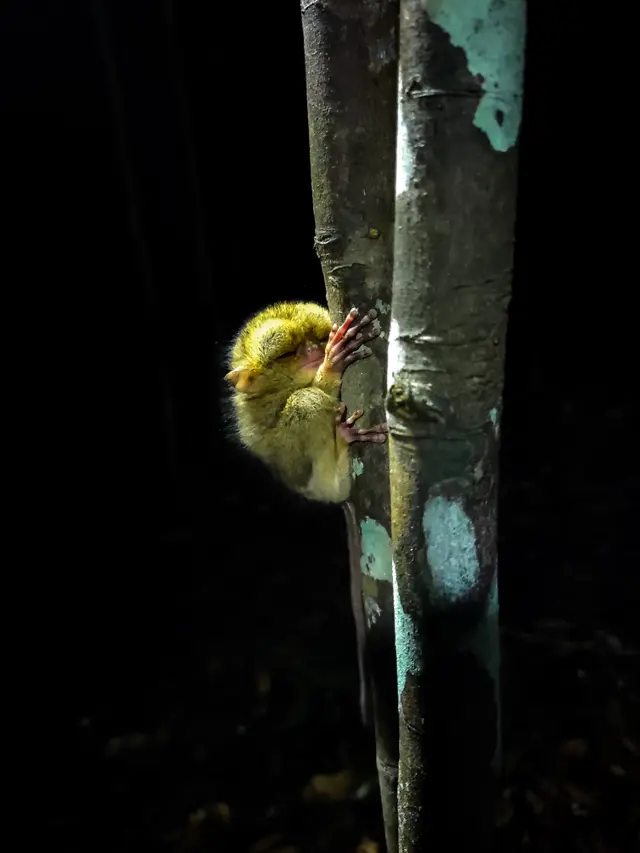 Tren Liburan Connect to Reconnect di Belitung, Saat Wisata Menjadi Jalan Kembali ke Alam, Budaya Lokal, dan Diri Sendiri