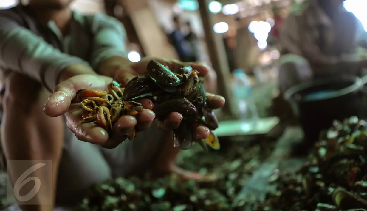 Seorang ibu menunjukan kerang hasil kupasanya di kawasan Muara Angke, Jakarta, Senin (3/8/2015). Dengan penghasilan rata-rata Rp 30 ribu/hari, para buruh tersebut harus cukup memenuhi kebutuhan hidup keluarganya. (Liputan6.com/Faizal Fanani)