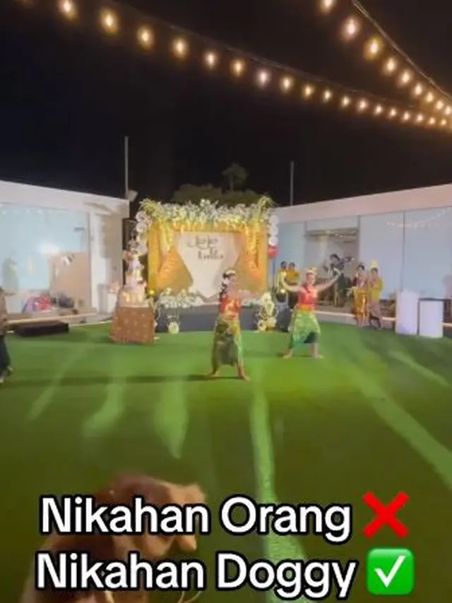 6 Potret Acara Nikahan Sepasang Anjing, Berjalan Meriah Ada Pengiringnya