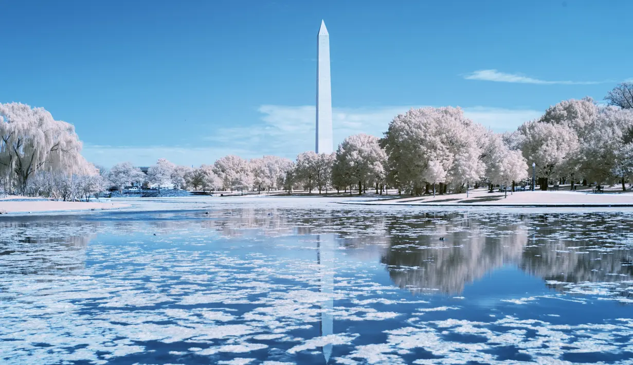Pemandangan Monumen Washington dengan refleksi air di Constitution Gardens Pond, Washington DC (20/9). Foto ini dihasilkan dengan menggunakan kamera atau teknik Inframerah (AFP Photo/Andrew Caballero-Renolds)