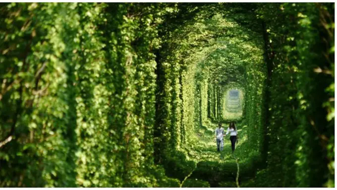 courtesy of Dailymail