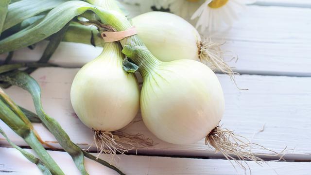 Ilustrasi daun bawang