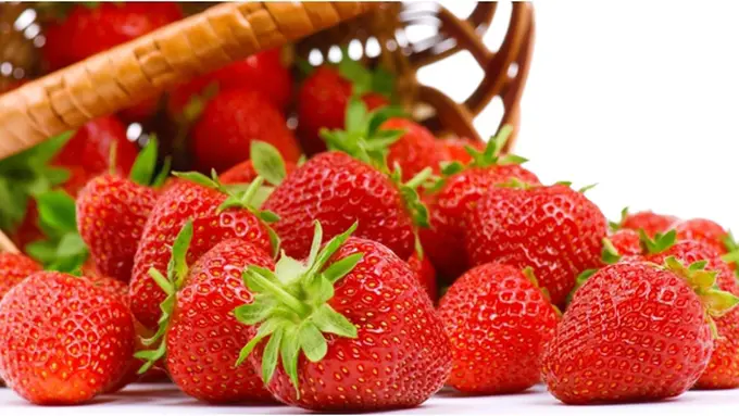 Copyright by shutterstock.com