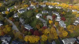 Dalam gambar yang diambil dengan drone ini memperlihatkan warna-warni pepohonan saat musim gugur di subdivisi Flint Creek, Barrington, Illinois, Amerika Serikat, 12 Oktober 2020. (Mark Welsh/Daily Herald via AP)