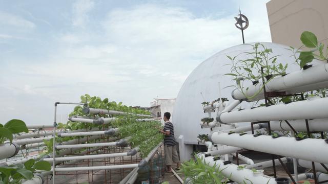 Atap Masjid Baitussalam