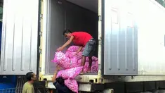 Sebanyak 33 kasus penimbunan bahan pokok ditemukan jajaran Satgas Pangan. Tindak pidana ini terjadi di beberapa daerah Jawa dan Sumatera.