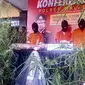 Tanaman ganja dan para pengedar ganja diamankan di Mapolres Malang Kota (Liputan6.com/Zainul Arifin)