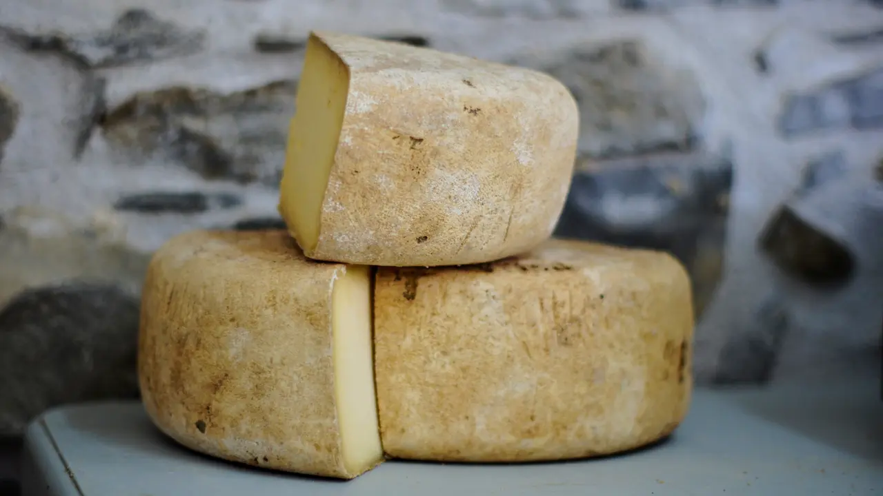 keju parmesan
