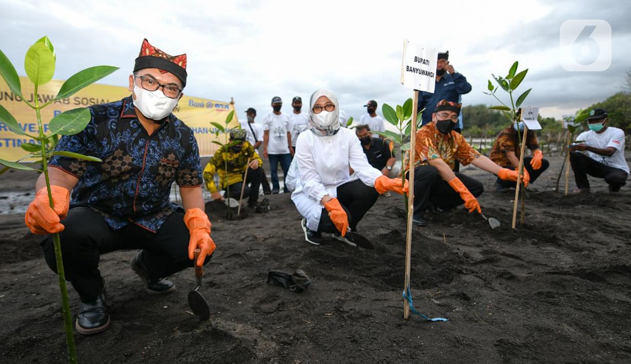 Penanaman 10.000 pohon mangrove di Pantai Cemara, Banyuwangi selain mencegah abrasi dan mengurangi emisi gas buang juga sebagai bentuk tanggung jawab sosial dan lingkungan dalam mendukung tercapainya tujuan pembangunan berkelanjutan Bank BTN kepada kepada Pemkab Banyuwangi. (Liputan6.com/HO/Hedi)