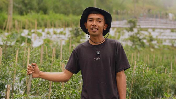 Harga Sayur Lebih Stabil Setelah Ada MBG, Petani Boyolali Harap Program Terus Berlanjut