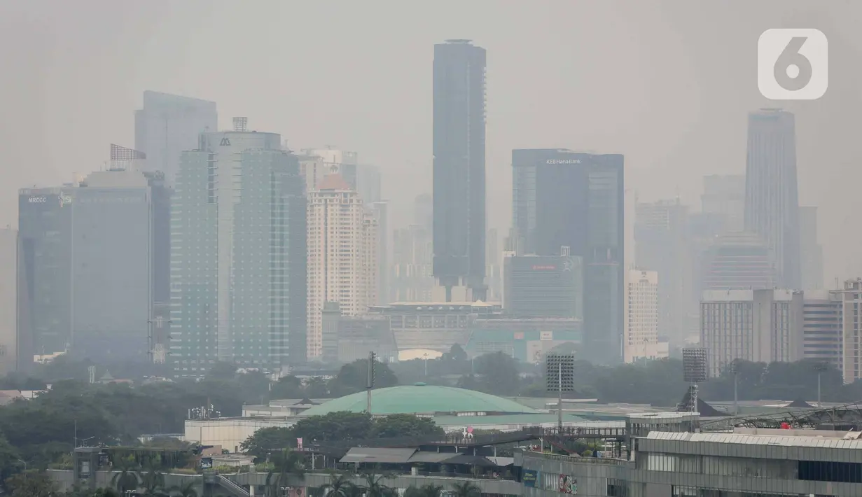 <p>Pemprov DKI Jakarta pun mengakui kebijakan WFH bagi 50% Aparatur Sipil Negara belum efektif mengurangi polusi udara. (Liputan6.com/Faizal Fanani)</p>