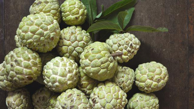 Ilustrasi buah srikaya