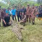 Buaya ditembak mati setelah menerkam seorang pekerja perkebunan Warga Negara Indonesia (WNI) yang sedang memancing di Sungai Matamba, Malaysia. (Wildlife Department)