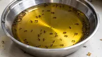 Apakah Minyak yang Disemuti Masih Aman untuk Masak? Ini Penjelasan Ilmiahnya