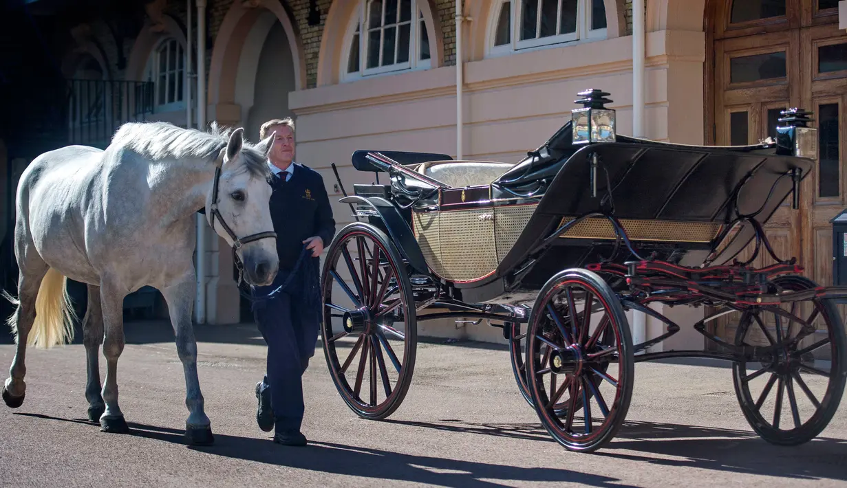 Senior Coachman, Philip Barnard-Brown membawa salah satu kuda yang akan menarik kereta kencana Ascot Landau di Istana Buckingham, London, Selasa (2/5). Kereta kencana itu akan digunakan Pangeran Harry dan Meghan Markle pada pernikahan mereka. (AP Photo)