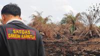 Satgas Karhutla Riau melakukan olah tempat kejadian perkara di lokasi kebakaran lahan. (Liputan6.com/M Syukur)