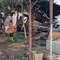Sambaran Api Hanguskan Dua Rumah di Situbondo