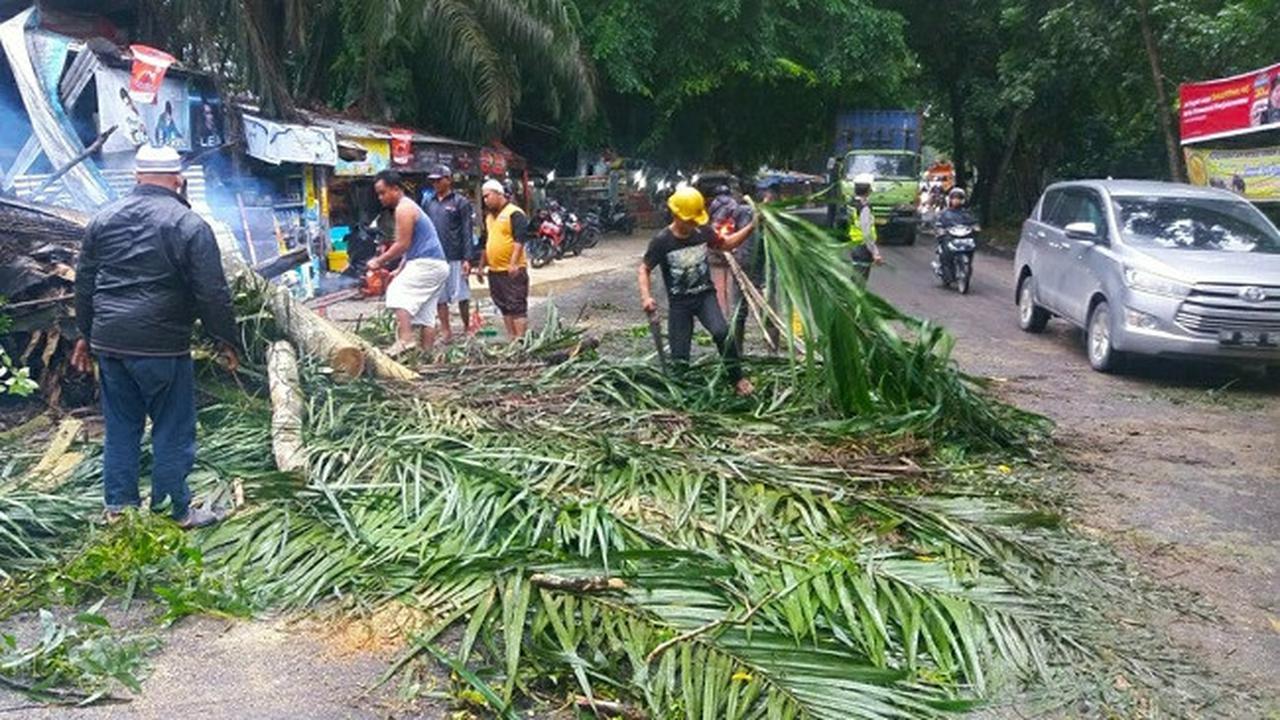 Petugas membersihkan sisa pohon tumbang yang menutup Jalan Yos Sudarso Pekanbaru.