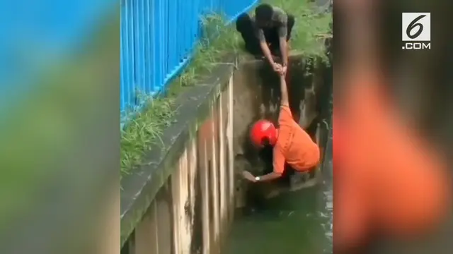 Dua pemuda tak berpikir dua kali saat selamatkan kucing tenggelam. Mereka rela menolong dengan risiko jatuh ke sungai.