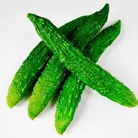 Ilustrasi Pare (Pixabay/PublicDomainPictures)