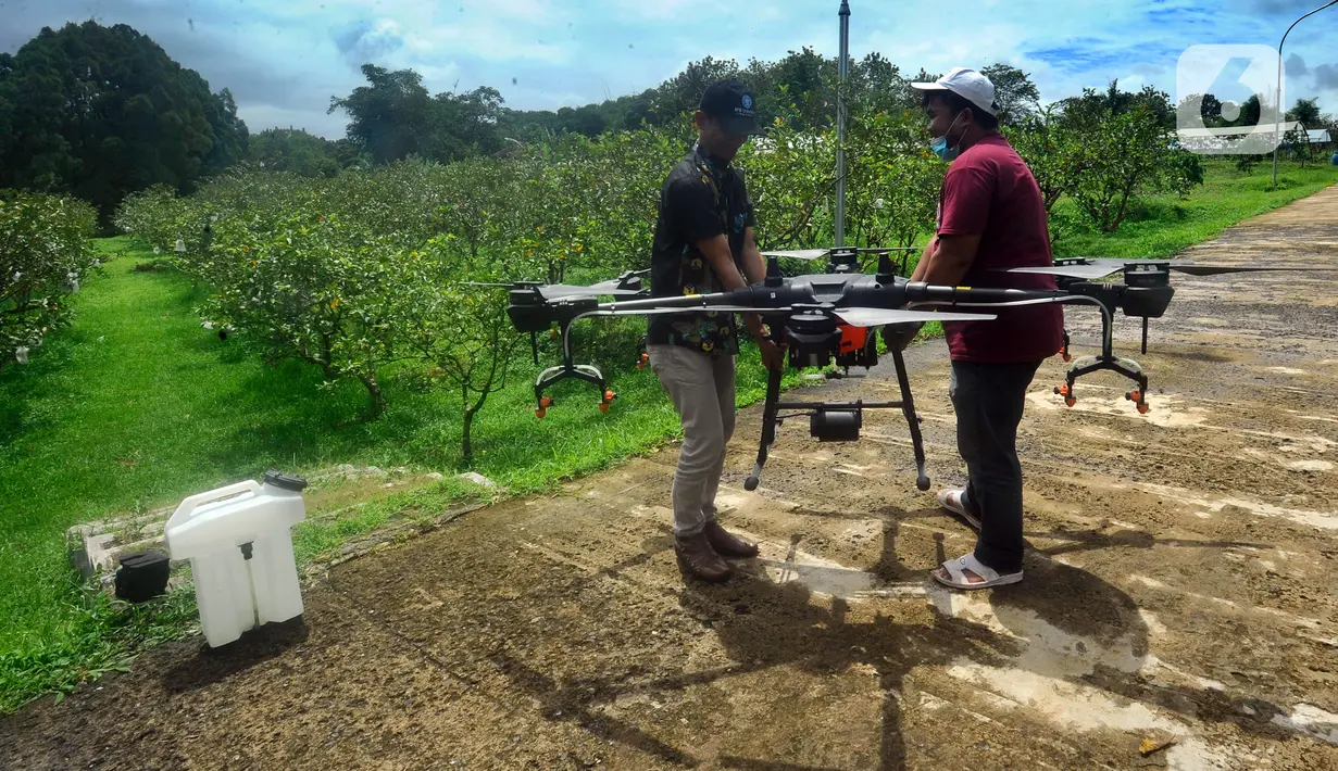 <p>Petani menyiapkan drone untuk terbang menyemprotkan pupuk mikro pada lahan jambu kristal di pusat pengembangan pertanian Agribusinnes and Technology Park (ATP) IPB University, Dramaga, Kabupaten Bogor, Jawa Barat, Jumat (17/2/2023). Penggunaan drone tersebut untuk membantu meningkatkan hasil produksi jambu kristal serta efisiensi tenaga dan waktu. (merdeka.com/Arie Basuki)</p>