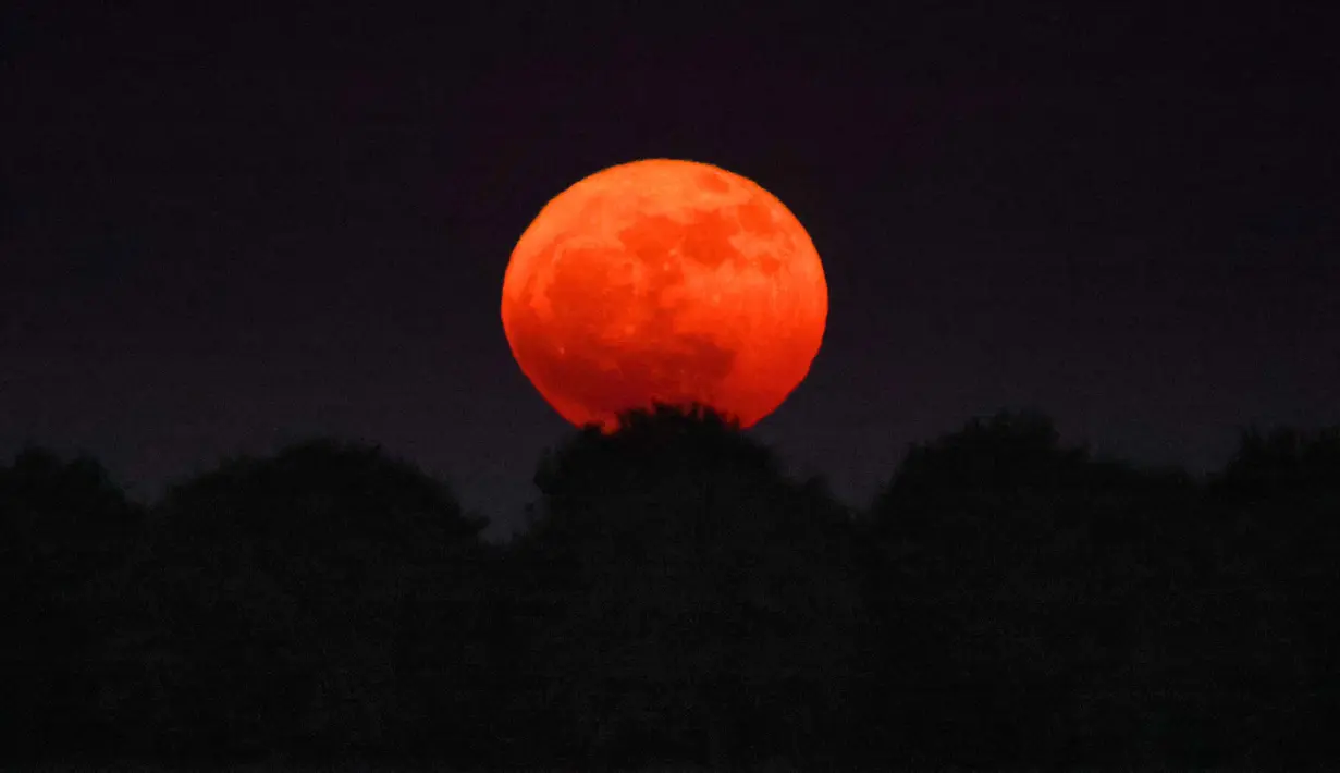 Strawberry moon merupakan nama lain untuk bulan purnama di bulan Juni. Tradisi Eropa menyebut strawberry moon sebagai Honey Moon atau "Bulan Madu", karena madu juga biasa dipanen pada akhir Juni. Tampak dalam foto yang diambil dari Kibbutz selatan Afar Aza ini menunjukkan bulan purnama, yang dikenal sebagai 'Bulan Stroberi' pada 11 Juni 2025. (Jack GUEZ/AFP)