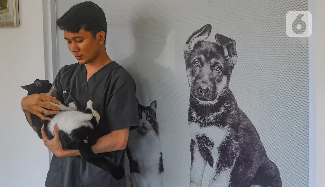Untuk penitipan kucing dikenakan tarif sebedar Rp55 ribu per hari. (merdeka.com/Arie Basuki)