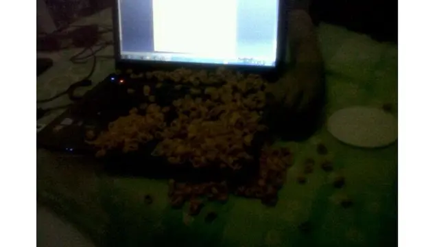 6 Momen Apes Laptop Ketumpahan Makanan Ini Bikin Nyesek