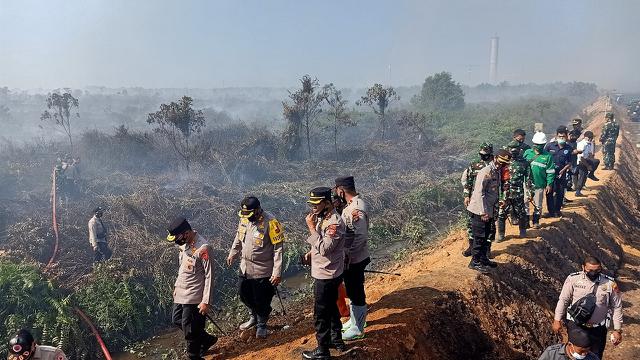 Sepanjang Februari 2021 Ratusan Hektare Hutan Dan Lahan Terbakar Di Aceh Regional Liputan6 Com