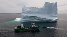 Kapal Kapten Edward Kean melewati gunung es terapung di Teluk Bonavista, Newfoundland, Kanada, 29 Juni 2019. Pada tahun 2018, lebih dari 500.000 wisatawan mengunjungi Provinsi Newfoundland untuk menyaksikan gunung es terapung. (Johannes Eisele/AFP)