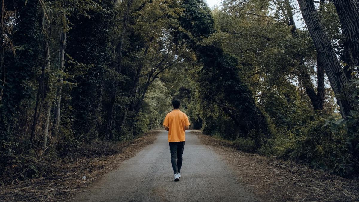 Manfaat Jalan Kaki Sederhana untuk Kesehatan, Waktu Terbaik Jalan Kaki yang Harus Anda Pahami