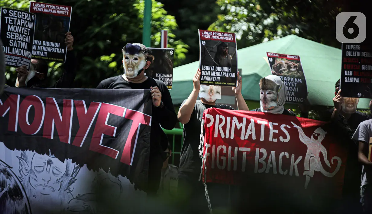 Massa yang tergabung dalam Koalisi Primates Fight Back mengenakan topeng monyet saat melakukan aksi di depan Kantor Kementerian Lingkungan Hidup dan Kehutanan, Jakarta, Senin (12/12/2022). Dalam aksinya mereka mendesak pemerintah untuk menetapkan monyet sebagai satwa dilindungi. (Liputan6.com/Faizal Fanani)