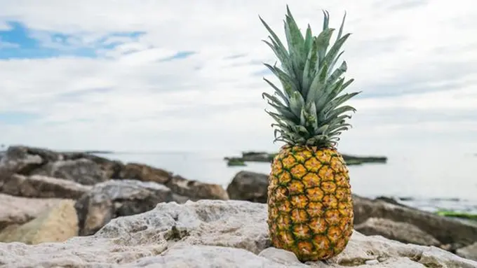 copyright by Pexels.com