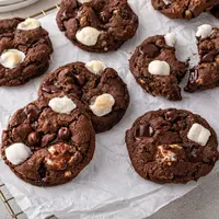 ilustrasi cookies/Elena Veselova/Shutterstock