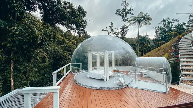 Bubble House