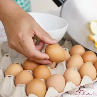 Ilustrasi menyimpan telur. (c) Shutterstock/tawanroong