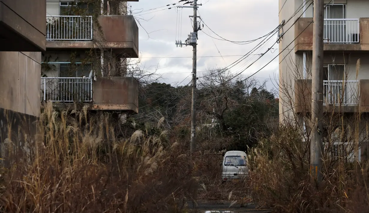 Foto ini diambil pada 3 Desember 2019 lalu yang menunjukkan kondisi gulma yang tumbuh di kompleks apartemen yang ditinggalkan di Futaba, prefektur Fukushima, Jepang. Pemerintah Jepang resmi membuka sebagian kota Futuba pada Selasa (3/3) tengah malam waktu setempat. (AP Photo/Jae C. Hong)