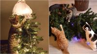 Tingkah kucing saat merusak pohon Natal ini bikin tepuk jidat. (Sumber: flickr/Adam Preble / Bored Panda)