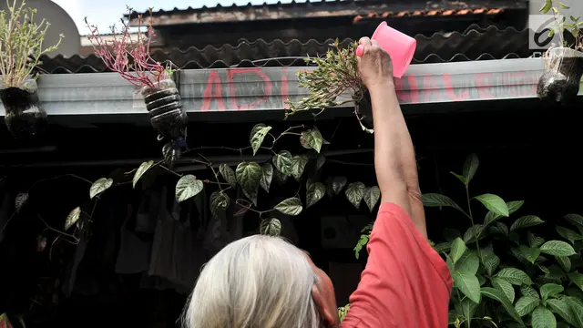 Melihat Suasana Kampung Proklim Sunter Jaya