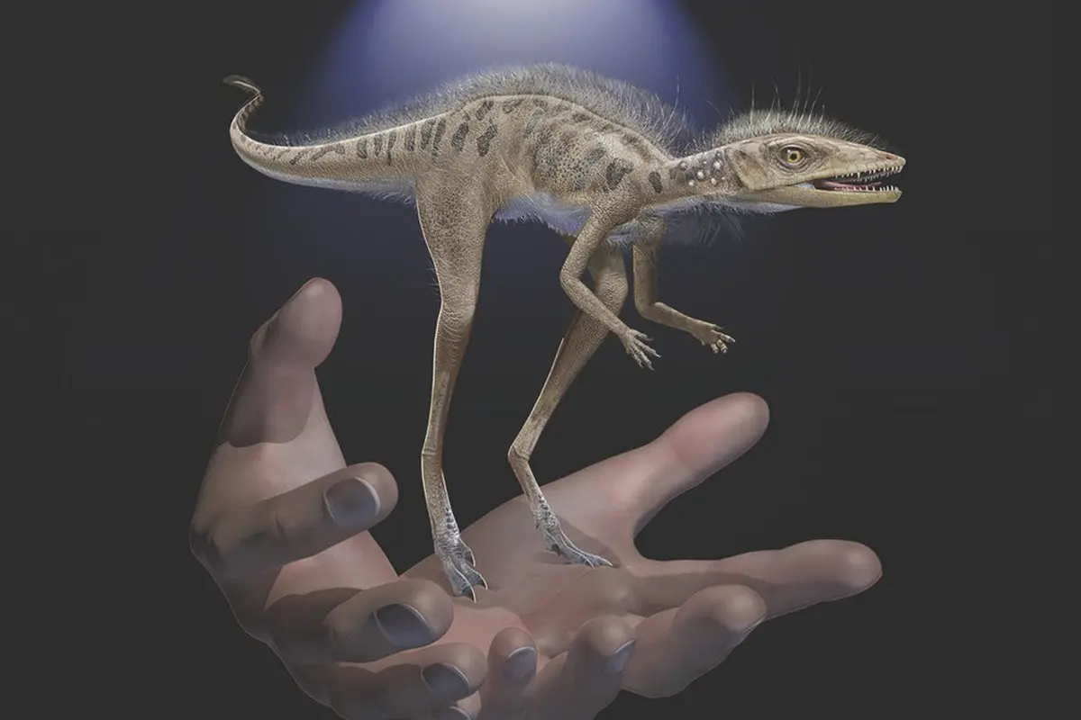Ilustrasi dinosaurus mini Kongonaphon kely.