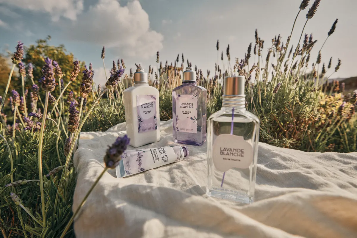 L'occitane telah meluncurkan produk perawatan tubuh terbaru yakni "White Lavender" dengan aroma white lavender yang mewah dan menenangkan.