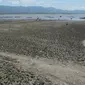 Musim kemarau baru berlangsung 1-2 bulan ini, tapi permukaan air Danau Limboto sudah menyurut 200-300 meter. (Liputan6.com/Arfandi Ibrahim)