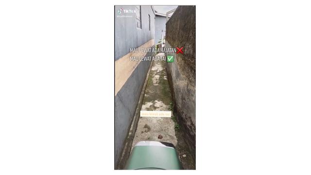 Lewati Gang Sempit, Cara Pengguna Motor Mengindari ‘Kotoran’ Ini Bikin Ngakak