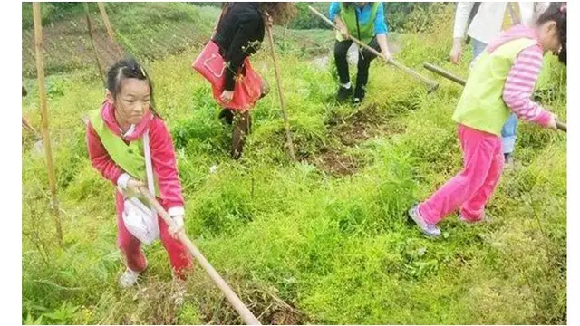 Gan Lin Sewa Pegunungan hingga Peternakan (sumber: expressuk)