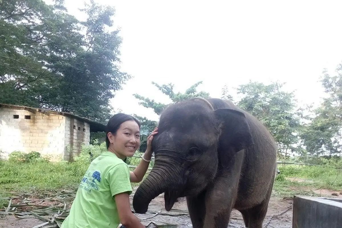 [Bintang] Gajah Erin