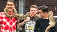 Tiga pemain Liverpool, Roberto Firmino, Alberto Moreno, dan Philippe Coutinho bermain-main dengan ular (Foto: Instagram)