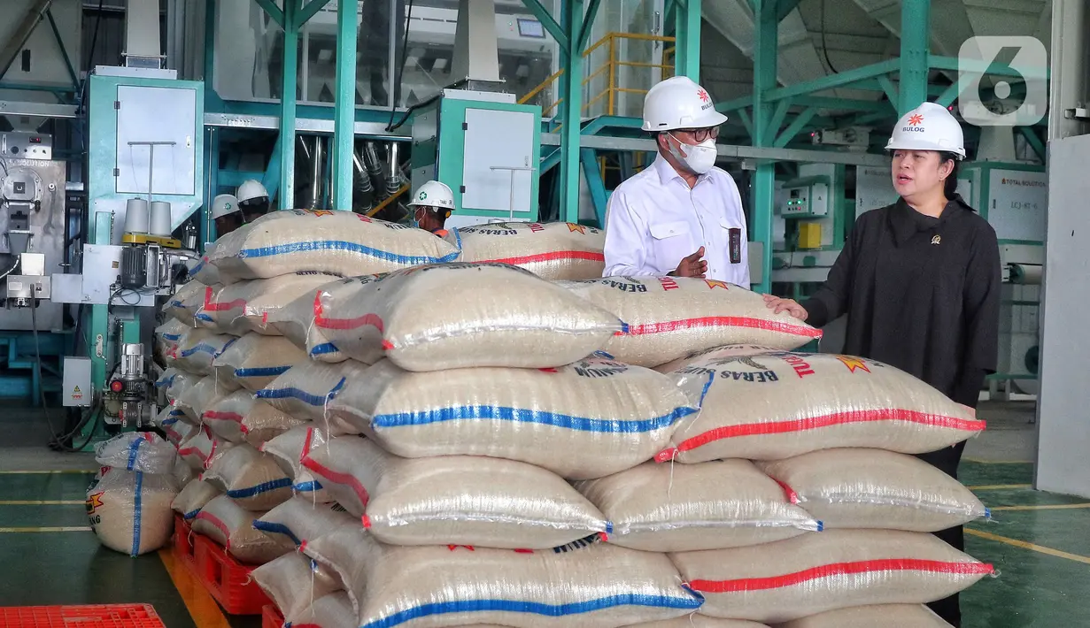 Ketua DPR RI Puan Maharani (kanan) bersama Direktur Utama Perum Badan Urusan Logistik (Bulog) Budi Waseso meninjau proses unit Modern Rice Miling Plant (MRMP) di Karawang, Jawa Barat, Rabu (21/9/2022). Kunjungan kerja tersebut guna membantu petani dalam negeri melalui infrastruktur penggunaan teknologi modern proses pengolahan beras untuk mewujudkan ketahanan pangan nasional. (Liputan6.com/Angga Yuniar)