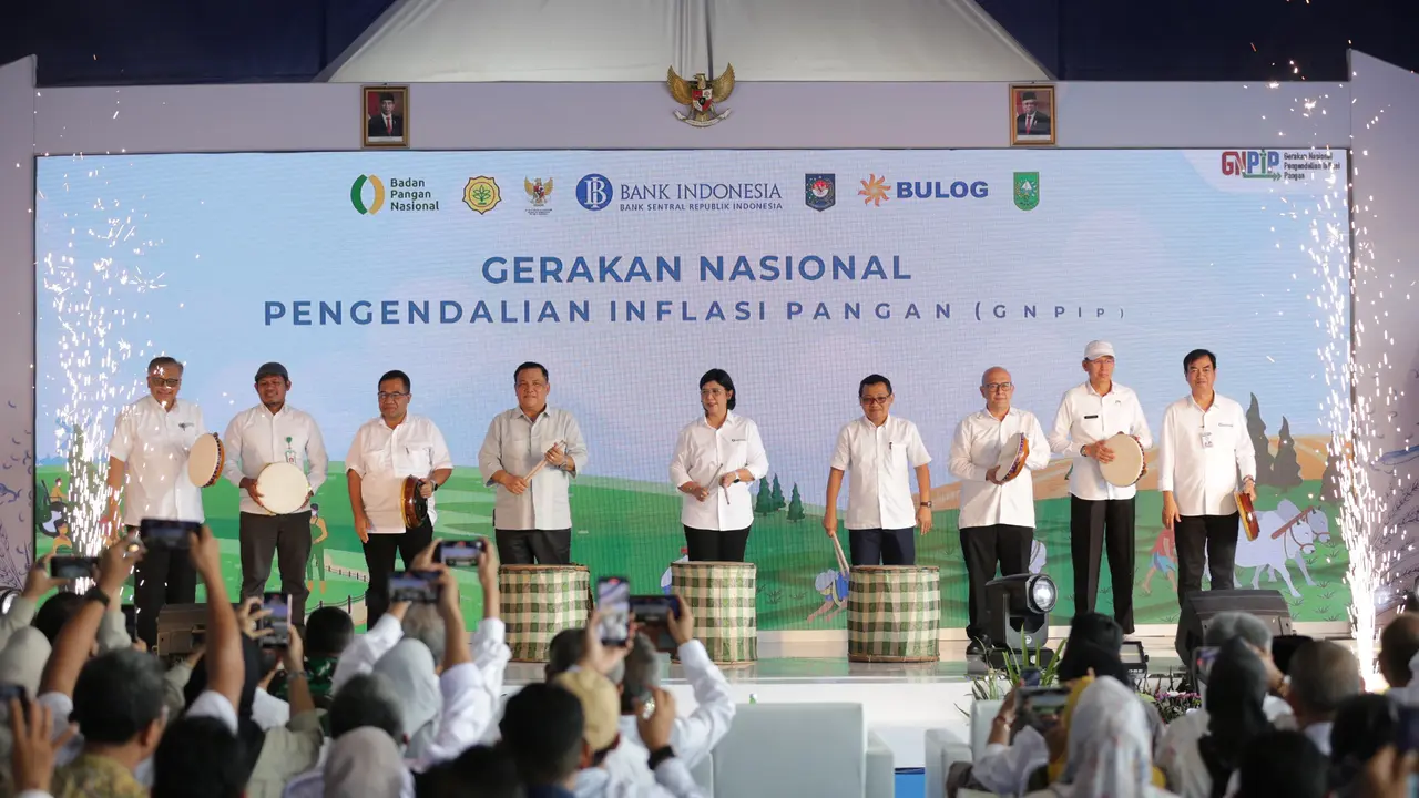 Deputi Bidang Koordinasi Ekonomi Makro dan Keuangan Kementerian Koordinator Bidang Perekonomian Ferry Irawan dalam Rapat Koordinasi TPIP-TPID Wilayah Sumatera, Kamis (16/5/2024). (Dok Kemenko Perekonomian)
