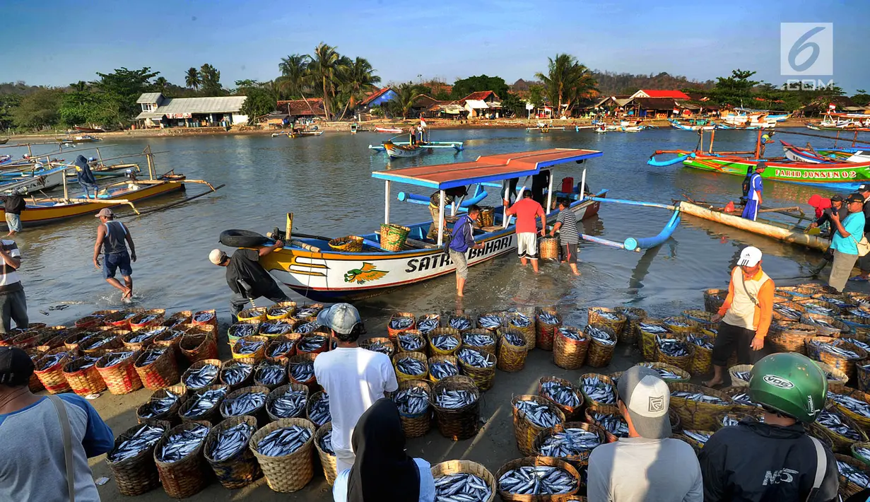 Para nelayan sibuk menurunkan ikan hasil tangkapannya di Tempat Pelelangan Ikan (TPI) Palangpang, Ciletuh, Sukabumi, Jawa Barat, (23/9). TPI Palangpang menjadi salah satu sentra pasar ikan laut di kawasan Sukabumi Selatan. (Merdeka.com/Arie Basuki)