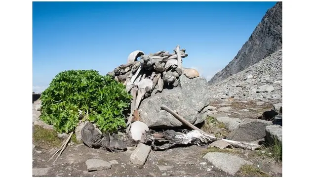 Danau Roopkund